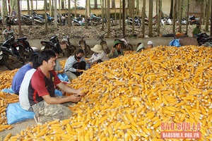 Phát huy vai trò doanh nghiệp KH&CN đồng hành cùng nông dân