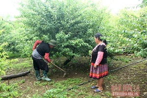 Chiềng Sơn giúp bản biên giới phát triển kinh tế, xã hội