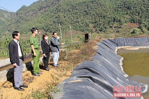 Giám sát chấp hành quy định về bảo vệ môi trường, tài nguyên nước tại xưởng chế biến cà phê Cát Quế