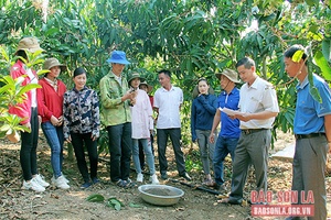 Chủ động thích ứng với biến đổi khí hậu