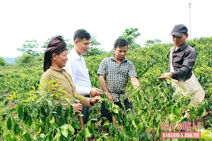 Đảng bộ xã Mường Giàng lãnh đạo phát triển kinh tế