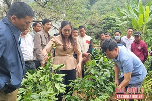 Điểm tựa giúp hội viên nông dân vươn lên làm giàu