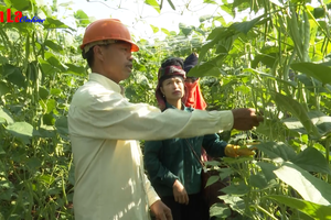 Chi hội trưởng nông dân làm kinh tế giỏi