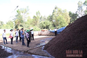 Giám sát việc chấp hành quy định về bảo vệ môi trường, tài nguyên nước tại 2 cơ sở chế biến sâu cà phê