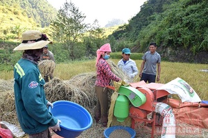 Mùa vàng trên đỉnh Sam Síp