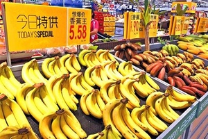 Chuối tươi Việt Nam được xuất khẩu sang Trung Quốc