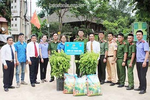 Tình nguyện “Hành quân xanh” tại huyện Mộc Châu