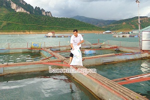 Chiềng Lao nỗ lực phát triển kinh tế        