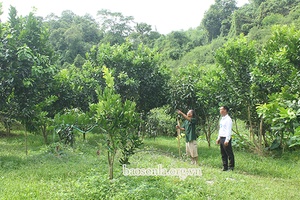 Nông dân xã Lóng Sập tích cực tham gia xây dựng nông thôn mới