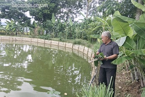 “Bộ đội Cụ Hồ” giữa đời thường