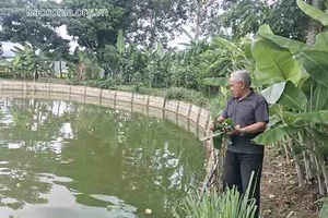  “Bộ đội Cụ Hồ” giữa đời thường