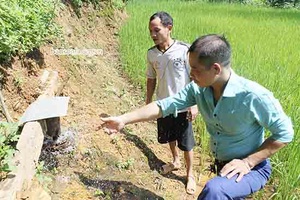 Nhà sáng chế không chuyên