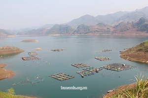 Tạo sức bật cho nuôi trồng thủy sản