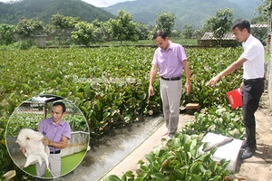 Làm giàu từ nguồn vốn Agribank              