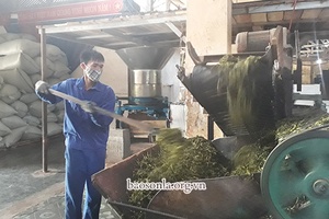 Liên kết trong sản xuất ở các xã vùng Mường Phù Yên   
