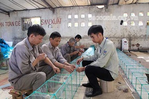 Quản lý, giúp người nghiện ma túy tái hòa nhập cộng đồng
