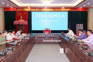 Hội nghị trực tuyến giao ban công tác triển khai Dự án 513