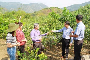 Đẩy mạnh nghiên cứu, ứng dụng, chuyển giao khoa học kỹ thuật