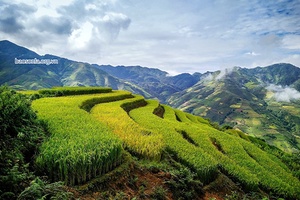 Suối Tọ đẩy mạnh khai hoang ruộng bậc thang