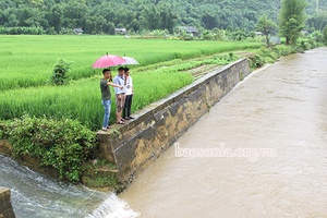 Thực hiện tốt “4 tại chỗ” trong phòng, chống thiên tai