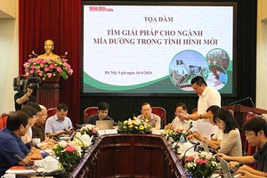 Tìm giải pháp gỡ khó cho ngành mía đường