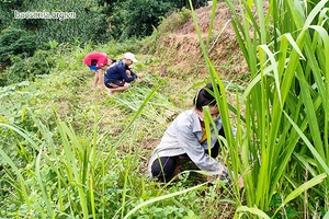 Đoàn kết giữ vững danh hiệu bản văn hóa