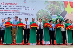 Xuất khẩu lô hàng trái cây sang châu Âu theo hiệp định EVFTA