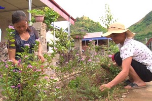 Ngày mới ở bản Pơ Nang