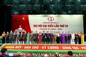 Bầu Đoàn đại biểu dự Đại hội đại biểu toàn quốc lần thứ XIII của Đảng