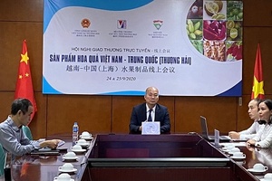 Đưa sản phẩm hoa quả Việt Nam vào thị trường Thượng Hải, Trung Quốc