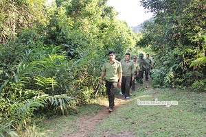 Giữ rừng đặc dụng Tà Xùa           