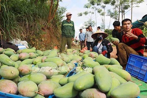 Đồng hành cùng nông dân phát triển kinh tế