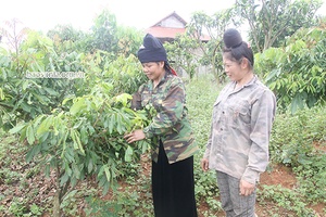 Hội viên nông dân làm kinh tế giỏi