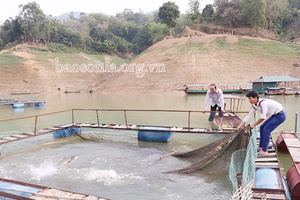 Nặm Ét nỗ lực giảm nghèo