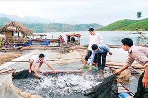 Nặm Ét nỗ lực giảm nghèo