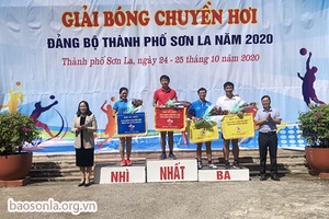 Giải bóng chuyền hơi Đảng bộ thành phố năm 2020