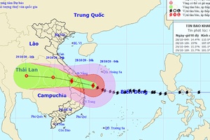 Bão giật cấp 16 vào vùng biển Đà Nẵng đến Phú Yên