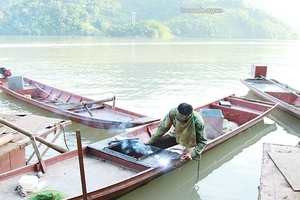 Bắc Yên tạo sinh kế cho hộ nghèo