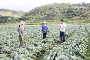 Vân Hồ chú trọng công tác xây dựng Đảng