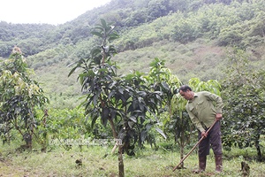 Nà Mường khai thác tiềm năng, đẩy mạnh phát triển kinh tế