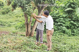 Chuyển biến tích cực từ học và làm theo Bác ở Chiềng Khoong