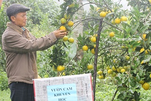 Độc đáo những mô hình khuyến học ở Mộc Châu