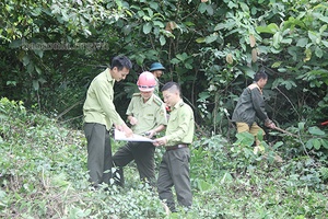 Chủ động các phương án PCCCR trong mùa khô