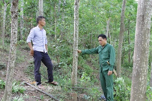 Nâng cao vai trò quản lý nhà nước về hoạt động ứng phó với biến đổi khí hậu
