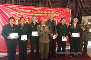 Chung tay chăm sóc nạn nhân chất độc da cam/dioxin