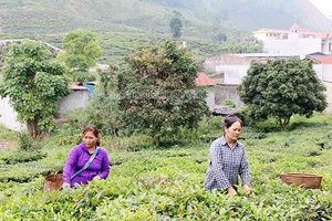 Tô Múa cán đích nông thôn mới