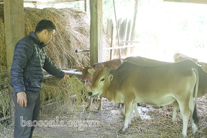 Phiêng Côn đẩy mạnh phát triển chăn nuôi