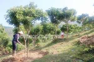 Chăm lo đời sống đồng bào dân tộc thiểu số