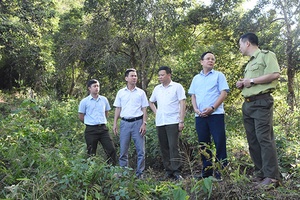 Kiểm tra tiến độ thực hiện đề tài khoa học và công nghệ trên địa bàn huyện Thuận Châu