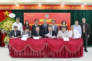 Tổng kết công tác thi đua, khen thưởng năm 2020 Cụm thi đua số 1 Hội Người cao tuổi Việt Nam